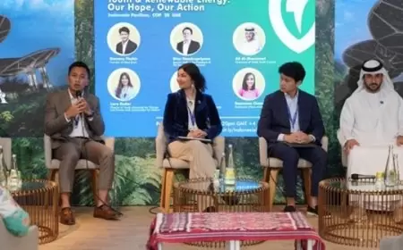 KLHK Dukung Peran Anak Muda dalam Mengatasi Perubahan Iklim di COP 28