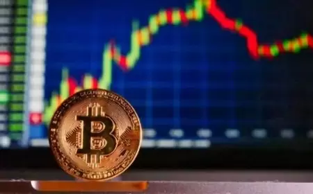 Pasar Crypto Melonjak di Tahun 2023: Bitcoin, Blackrock, dan Pertumbuhan Aplikasi PINTU