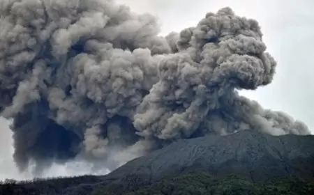Tragedi di Puncak Gunung Marapi: Korban Erupsi Meningkat, Pencarian Korban Masih Berlanjut