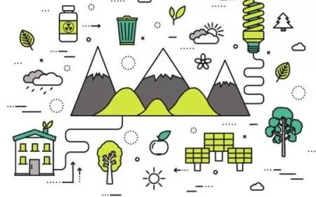 BUMN Petrokimia Gresik Ungkap Strategi Inovatif dan Proyek Masa Depan untuk Meminimalisasi Emisi Karbon