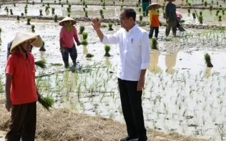 Prabowo Soroti Kelangkaan Pupuk di Jawa Tengah, Jokowi Langsung Janji Tambahkan Subsidi Pupuk