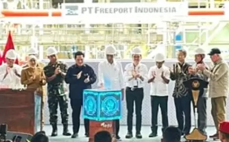 Presiden Jokowi Resmikan Operasional Ekspansi Smelter PT Smelting