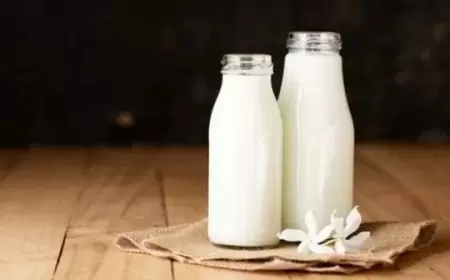 Solusi untuk Intoleransi Laktosa: Proses Enzimatis dalam Pembuatan Susu Bebas Laktosa