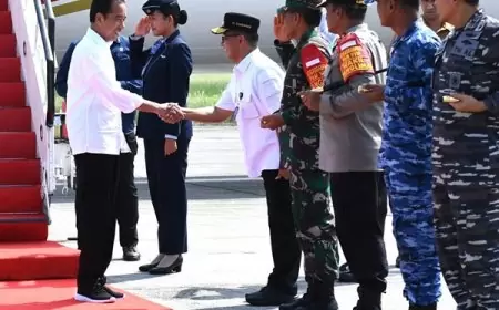 Presiden Jokowi Kunjungi IKN dan Lakukan Groundbreaking RSUP dan Nusantara Superblock