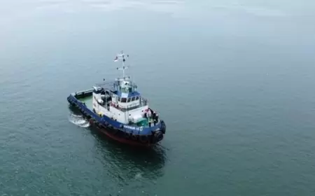 PT Hasnur Internasional Shipping Tbk (HAIS) Mengoperasikan BG Hasnur 337 untuk Tingkatkan Pendapatan 10 Persen