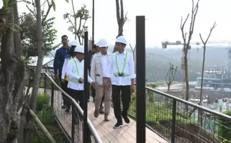 Jokowi Tinjau Pembangunan Istana dan Kantor Presiden di IKN