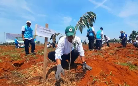 Manfaatkan Lahan TKD, Desa Petiyintunggal Gresik Kembangkan Agrowisata