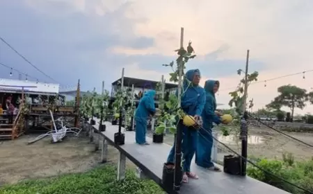Libur panjang Nataru, Ada Rest Area Baru 0 kilometer di Perbatasan Gresik- Lamongan, Begini Penampakanya