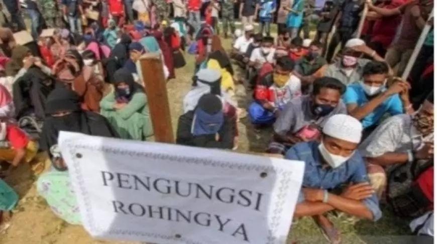 Kontroversi Kedatangan Pengungsi Rohingya di Aceh: Presiden Perintahkan Penanganan, Catatan Perilaku Buruk Memperkeruh Situasi