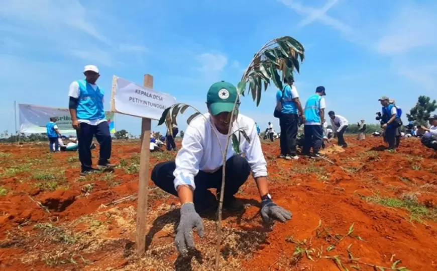 Manfaatkan Lahan TKD, Desa Petiyintunggal Gresik Kembangkan Agrowisata