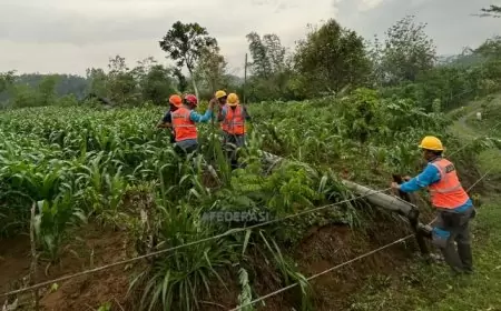 Imbas Hujan dan Angin Kencang, 188 Pelanggan PLN di Tulungagung Alami Listrik Padam