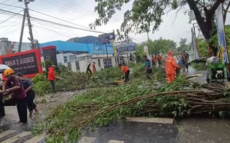 BPBD Jember Gerak Cepat Tanggulangi Dampak Hujan Disertai Angin