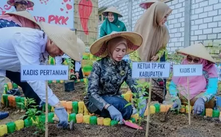 Tanam Ratusan Cabai, Inovasi TP PKK Gresik Tekan Inflasi dan KuatkanKetahanan Pangan