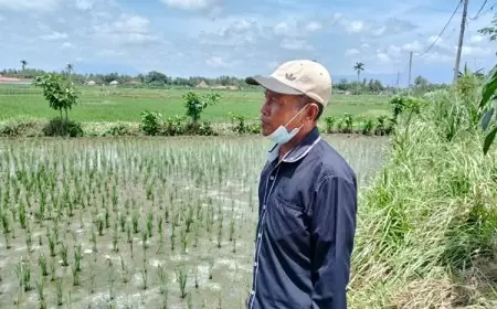Petani di Jember Laporkan Kios Pupuk Bersubsidi ke Polisi