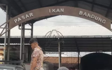 Rencana Pembangunan Pasar Ikan Baru di Desa Sukoanyar Menemui Kendala