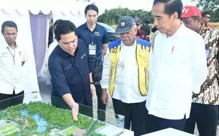 Baru 20 Persen, Jokowi Targetkan Pembangunan Pusat Pelatihan PSSI Rampung Mei 2024