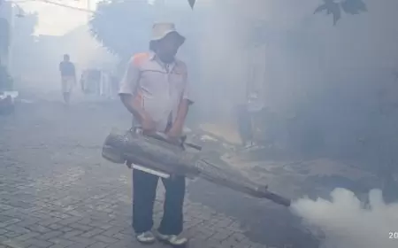 Warga Positif DBD, Fogging Sasar 2 Desa di Kabupaten Madiun