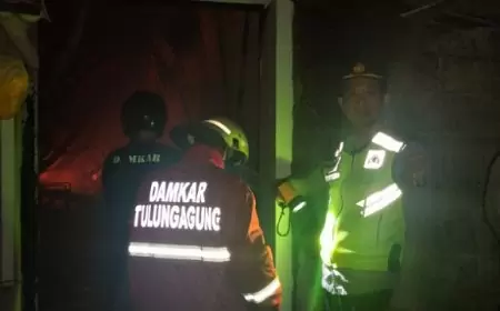 Kebakaran Melanda Gudang Fefarm Petshop di Tulungagung, Kerugian Capai Rp 3 Miliar