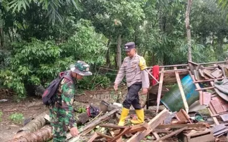 Hujan Deras di Trenggalek Sebabkan Pohon Tumbang dan Tanah Longsor