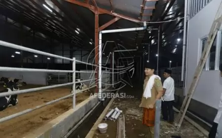 Bupati Arifin Sambutan Baik Investasi Peternakan Sapi Perah di Desa Boto Putih, Trenggalek