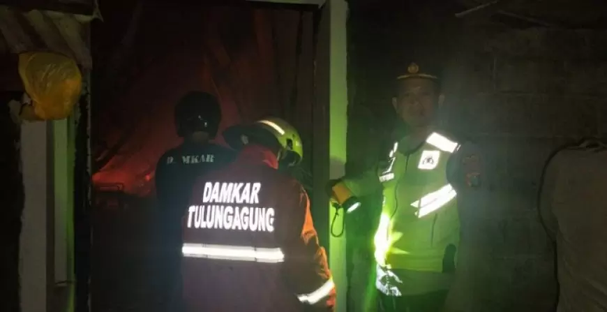 Kebakaran Melanda Gudang Fefarm Petshop di Tulungagung, Kerugian Capai Rp 3 Miliar