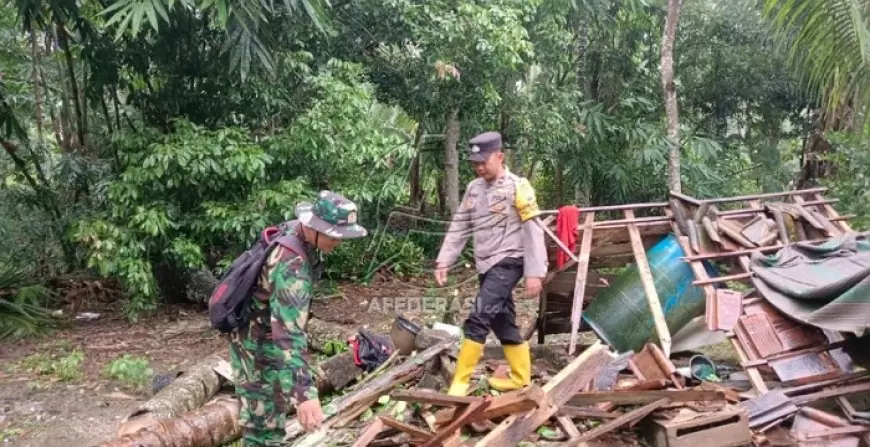 Hujan Deras di Trenggalek Sebabkan Pohon Tumbang dan Tanah Longsor