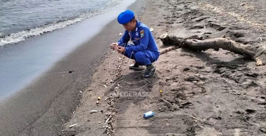 Ribuan Ikan Terdampar di Pantai Timur Situbondo, Diduga Akibat Angin Puting Beliung