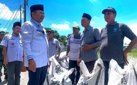 Bupati Jember; Distribusi Pupuk Organik Si Jempol Gratis