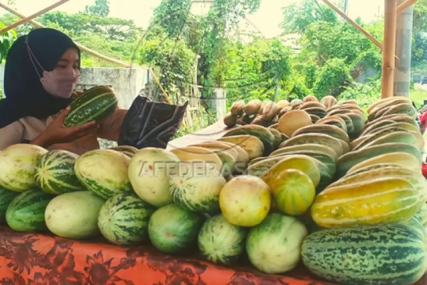 Buah Identik Banyuwangi Khas Ramadan Bernilai Ekonomis