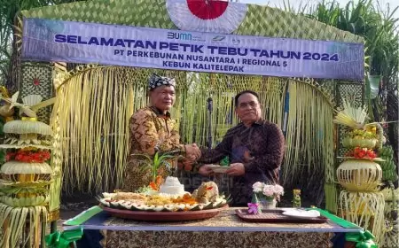 Petik Tebu Manten TMA 2024, Harapan Panen Melimpah dan Gula Berkualitas