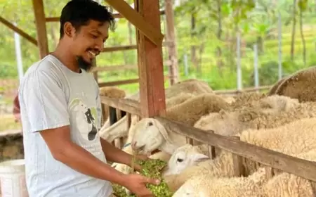 HPDKI Madiun Serukan Pilih Kepala Daerah yang Peduli Nasib Peternak