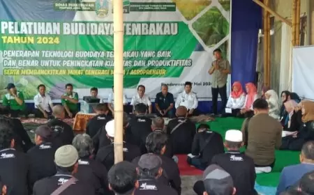 APTI Bondowoso Tolak Pasal Pertembakauan RPP Kesehatan, Yazid: Sama Saja Membunuh Petani