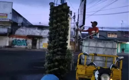 Hijaukan Banyuwangi, DPU CKPP  Rutin Merawat Tanaman di Taman Pojok dan Median Jalan