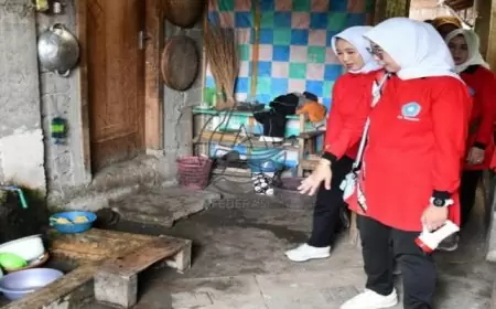 Pengendalian dan Penanggulangan DBD , Ketua TP PKK Tulungagung Cek Langsung Kondisi Rumah Warga