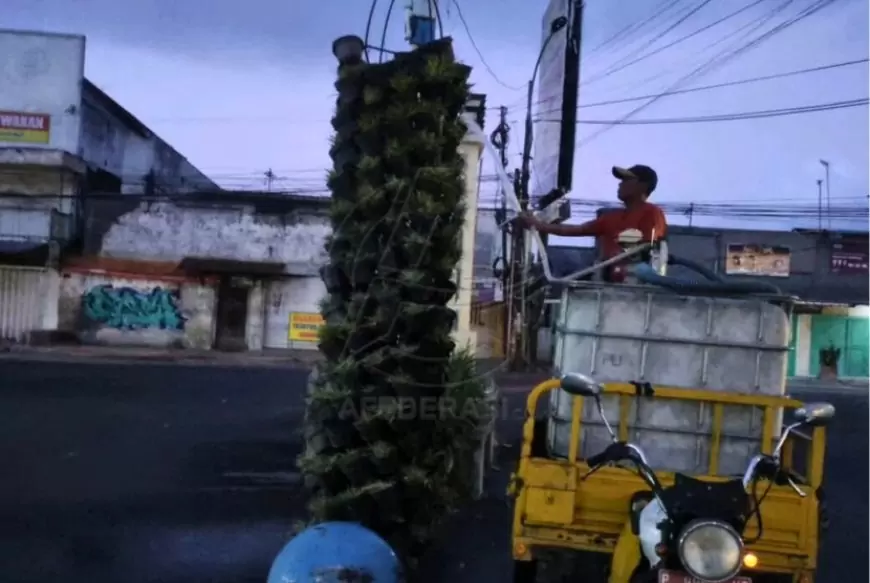 Hijaukan Banyuwangi, DPU CKPP  Rutin Merawat Tanaman di Taman Pojok dan Median Jalan