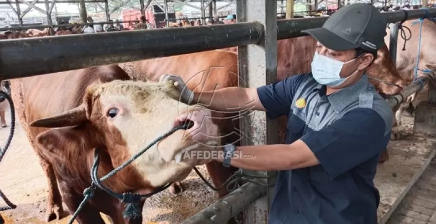Jelang Idul Adha, Disnak Keswan Tulungagung Pastikan Kesehatan Hewan Kurban di PHT