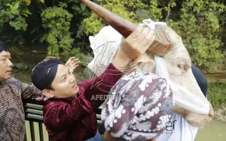 Tradisi Nyadran Dam Bagong, Bupati Trenggalek Larung Kepala Kerbau