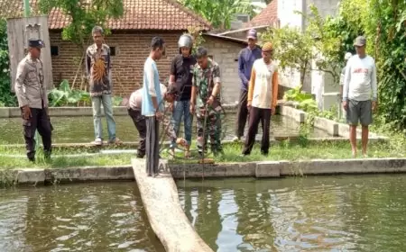 Diduga Lepas dari Pengawasan, Dua Balita di Tulungagung Tenggelam di Kolam Ikan