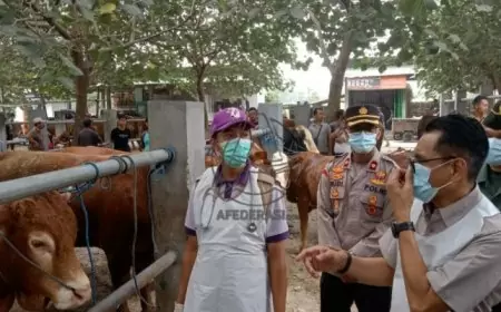 Sidak Pasar Hewan Jelang Idul Adha, Pj Bupati Tulungagung Pastikan Stok Kurban Melimpah dan Sehat