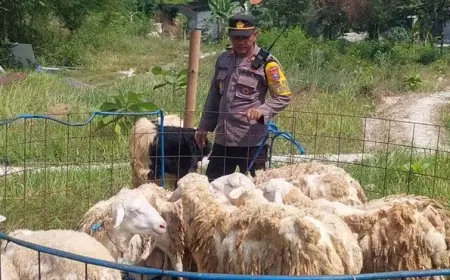 Kisah Inspiratif, Kapolsek Gresik Kota Manfaatkan Momen Idul Adha Berjualan Hewan Kurban dan Berdayakan Anak Muda
