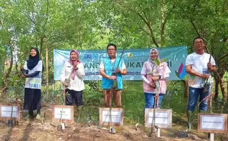 PLN Nusantara Power Gresik Tanam 10.000 Bibit Mangrove