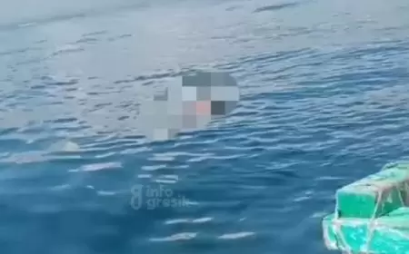 Perahu Nelayan Gresik Tertimpa Rumah Kontainer di Perairan Madura 1 Nelayan Tewas 7 Masih Hilang