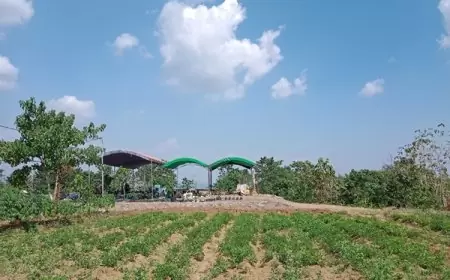 Petani Bondowoso Bakal Digelontor Bantuan Sumur Bor, Rp 14 Miliar untuk 125 Titik