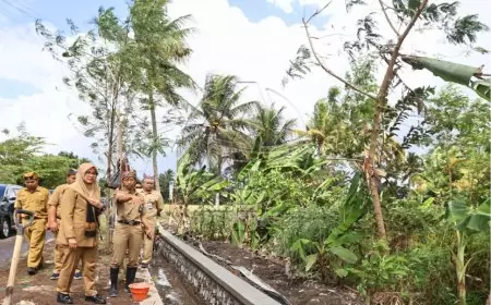 Pemkab Banyuwangi Tahun 2024 Bangun dan Revitalisasi Ratusan Kilo Jaringan Irigasi