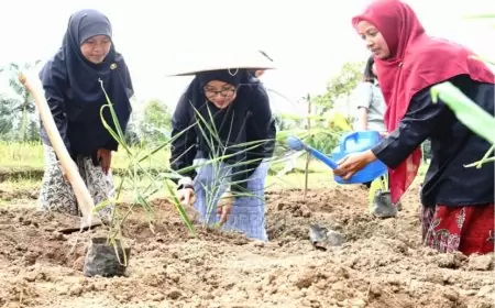 Pemkab Banyuwangi Dorong Potensi Lokal Desa Satelit Segobang Licin