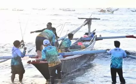 Sumber Daya Perikanan Banyuwangi, Lemuru Tangkapan Favorit Nelayan