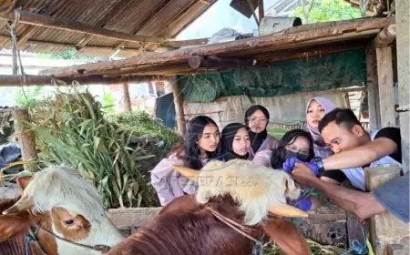 Pemkab Banyuwangi Mulai Cek Kesehatan Hewan Kurban