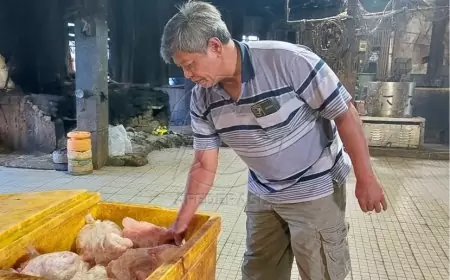 Regulasi NKV Ancam Keberlangsungan Usaha Kecil Pemotongan Unggas di Banyuwangi