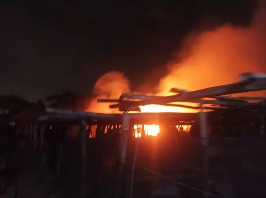 10 Ekor Kambing Hangus Terbakar