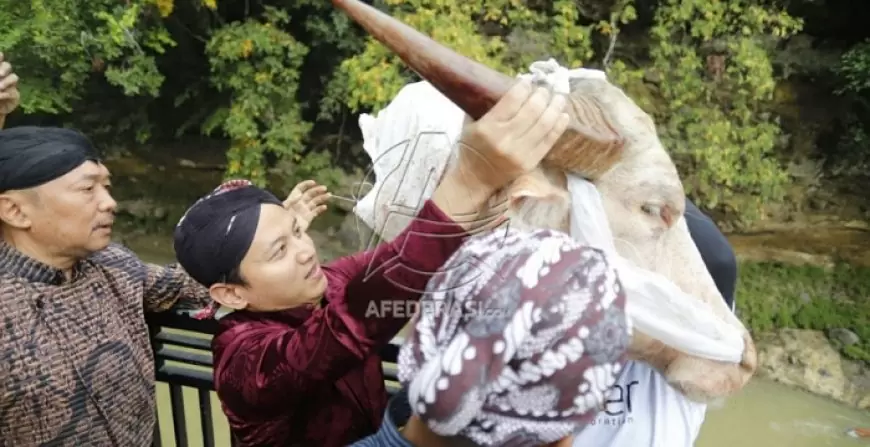 Tradisi Nyadran Dam Bagong, Bupati Trenggalek Larung Kepala Kerbau